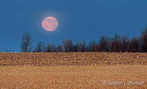 Supermoon Setting_07386-8.jpg - Photographed near Kilmarnock, Ontario, Canada.